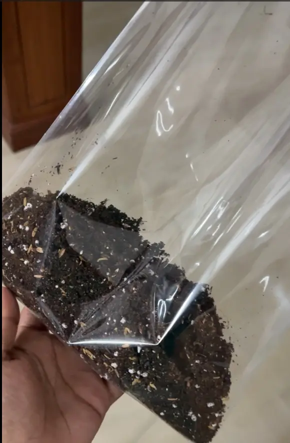 [FZ900] Roots Garden Potmix 250G